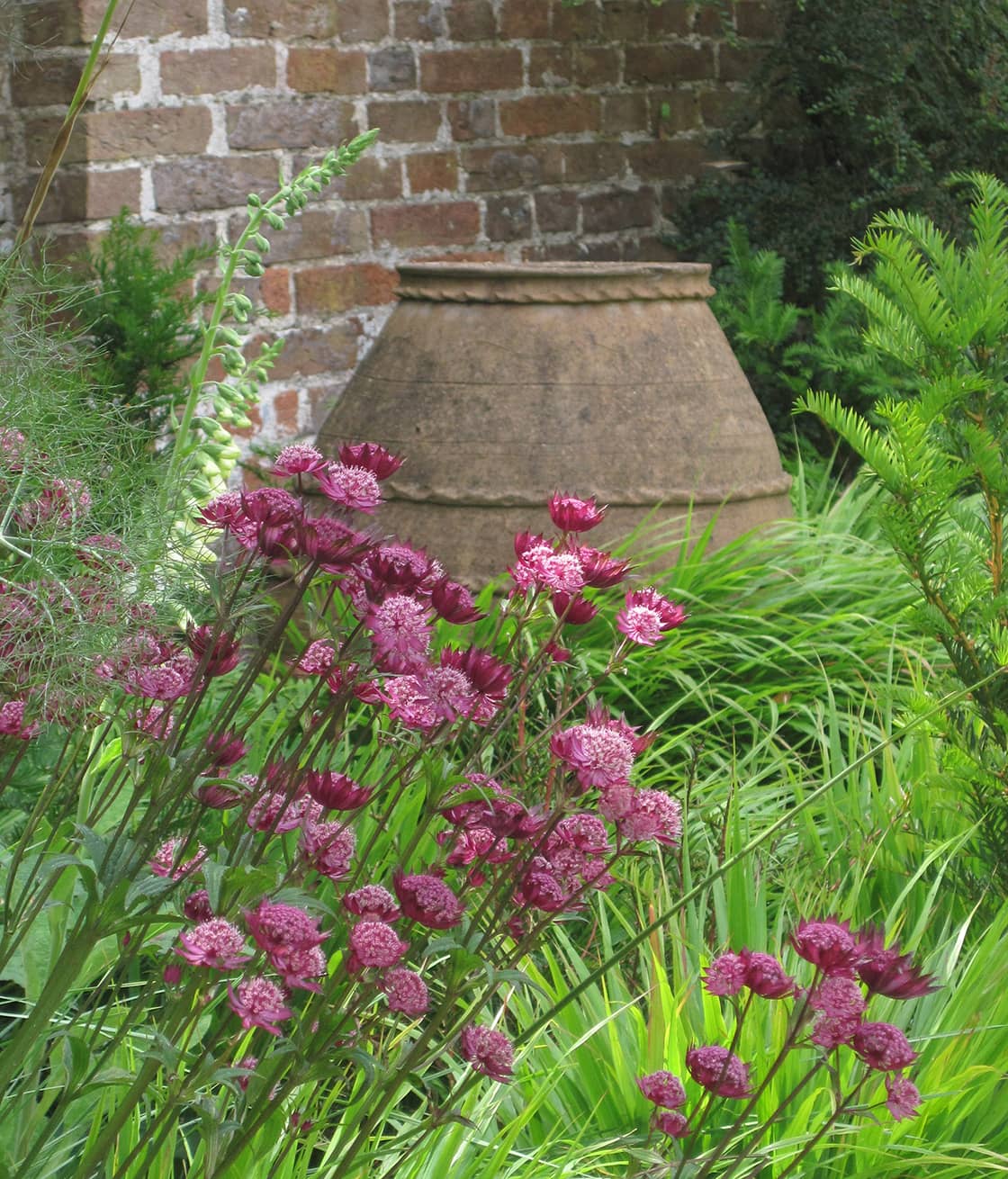 garden pots