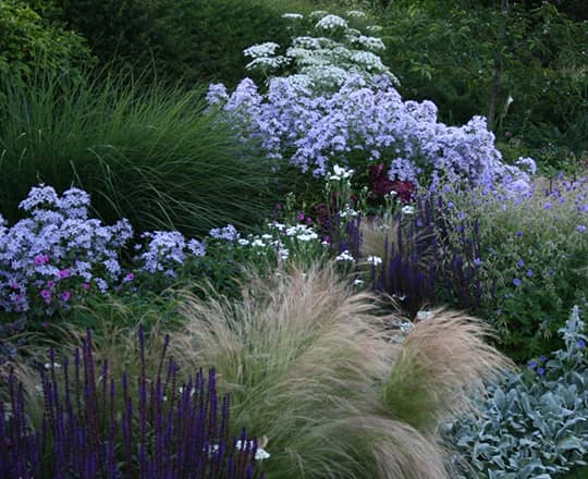 garden planting