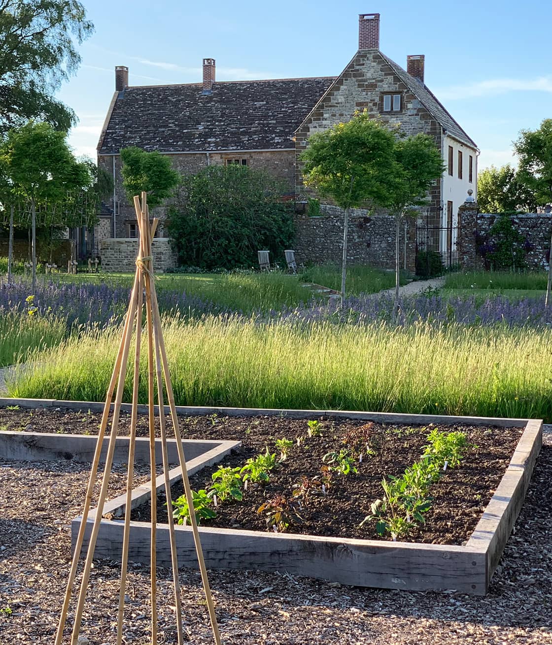 kitchen garden