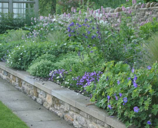 garden planting