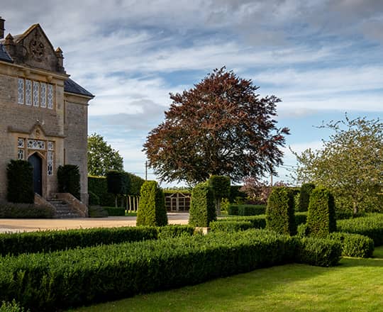 formal garden