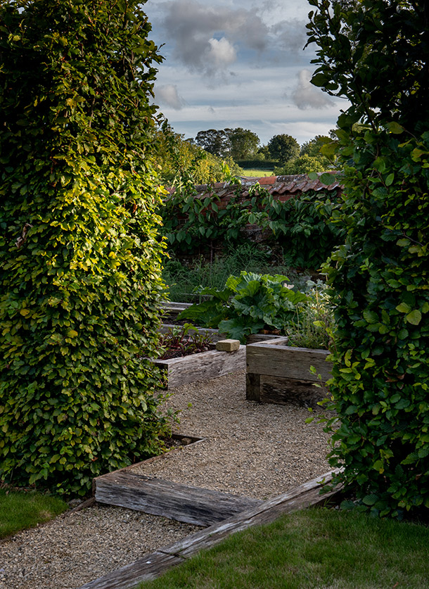 kitchen garden