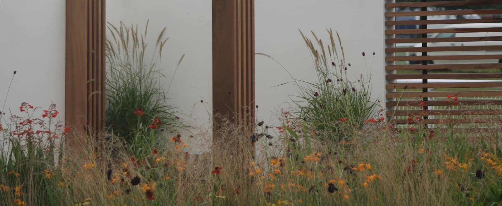 meadow planting