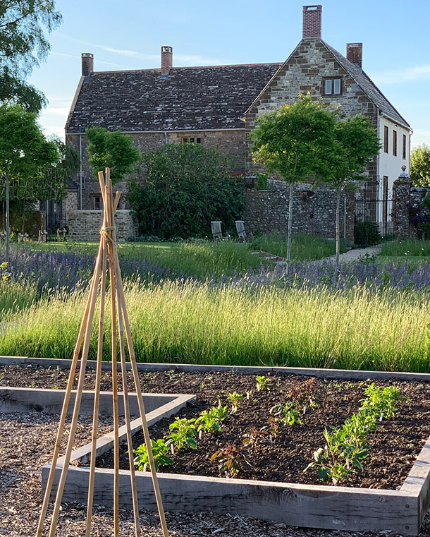 kitchen garden
