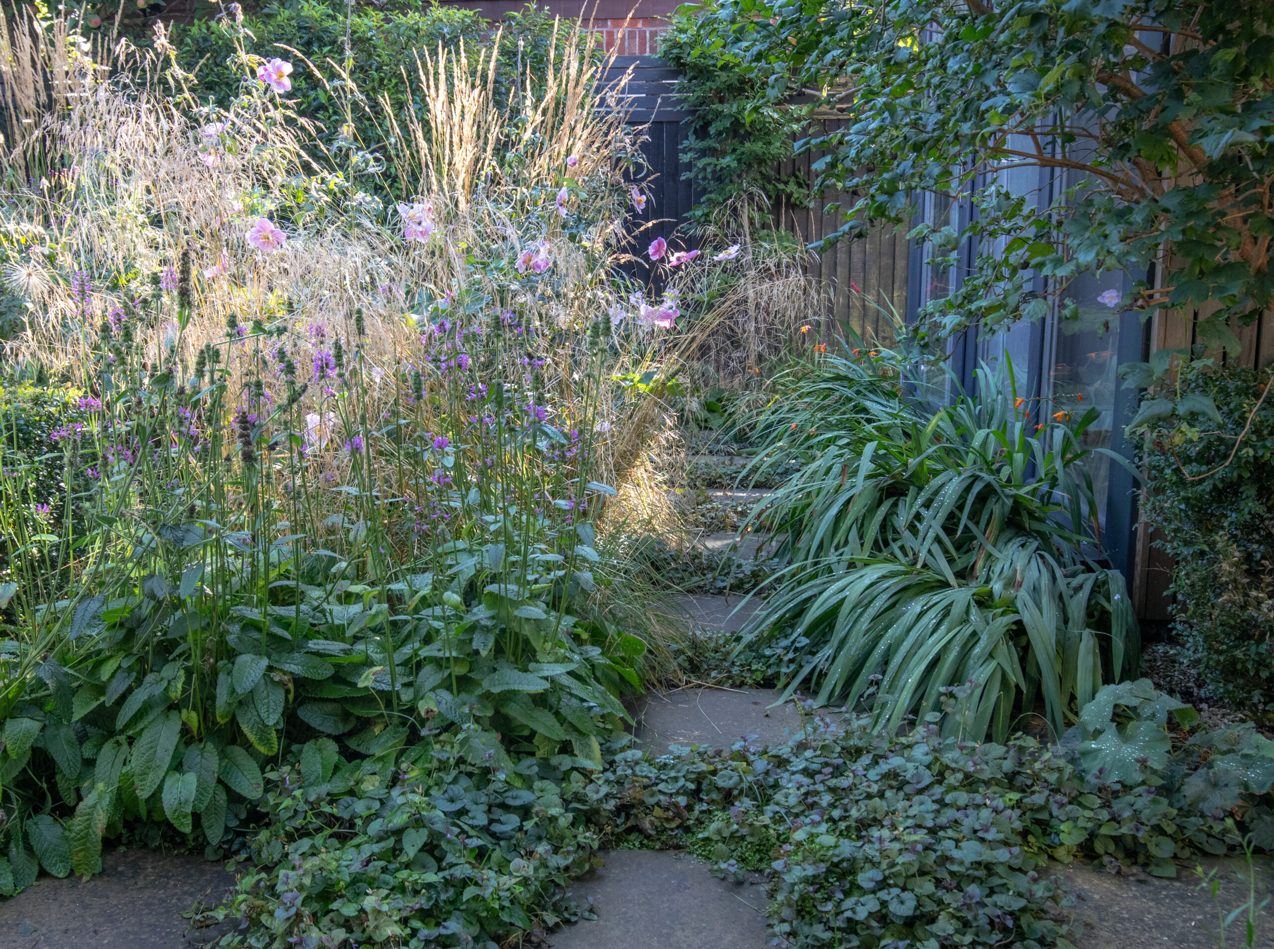 Small courtyard garden